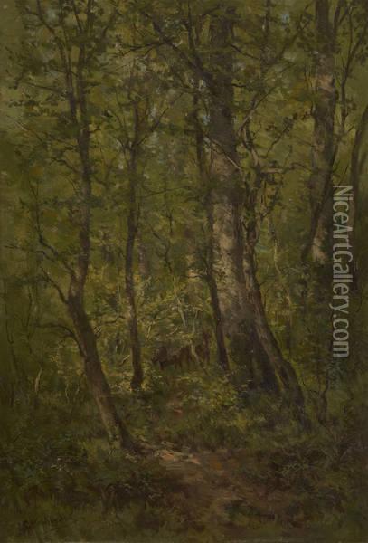 Cerf Et Biches Enforet Oil Painting - Isidore Verheyden
