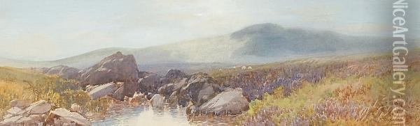 Dartmoor, Near Tavy Cleave Oil Painting - Frederick John Widgery