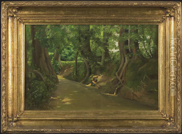 Forest Stream Oil Painting - Stanislaw M. Debicki