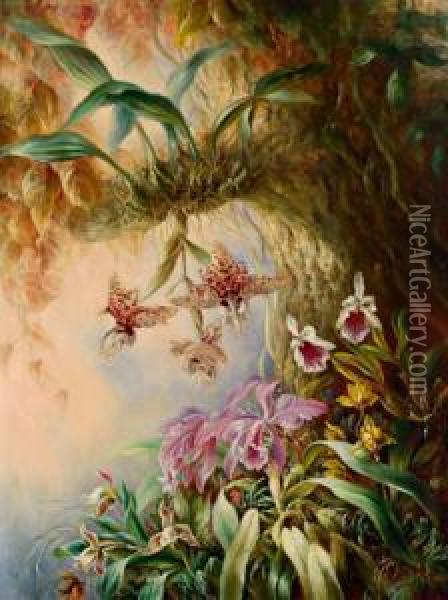 Wilde Orchideen Oil Painting - Friedrich Moos