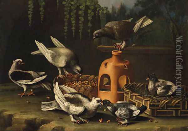Pigeons feeding from a Basket by a stoneware Vase in a Garden Oil Painting - Giovanni Quinsa