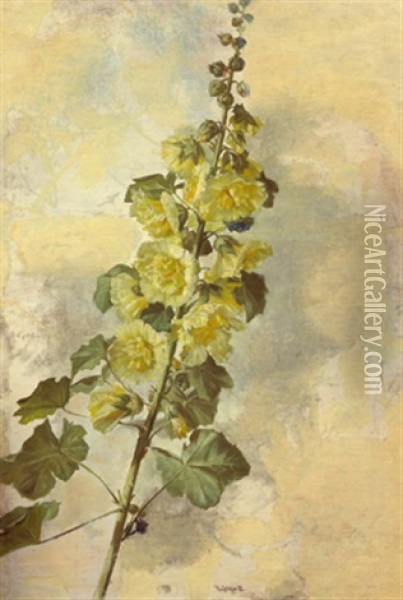 Gelbe Malve Oil Painting - Karl Max Gebhardt