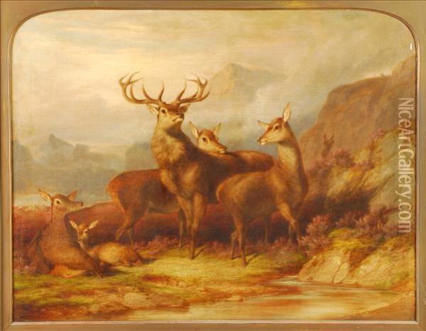 Stag And Hinds In Ahighland Landscape Oil Painting - James William Giles