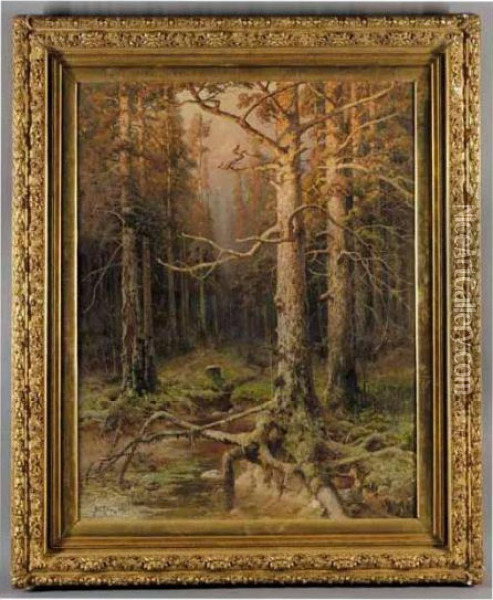 Forest Landscape Oil Painting - Iulii Iul'evich (Julius) Klever