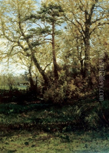 Forest Scene With Farmhouse Oil Painting - Aaron Allan Edson