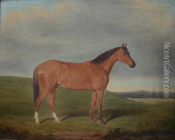 Chestnut Hunter In A Landscape Oil Painting - James Loder Of Bath