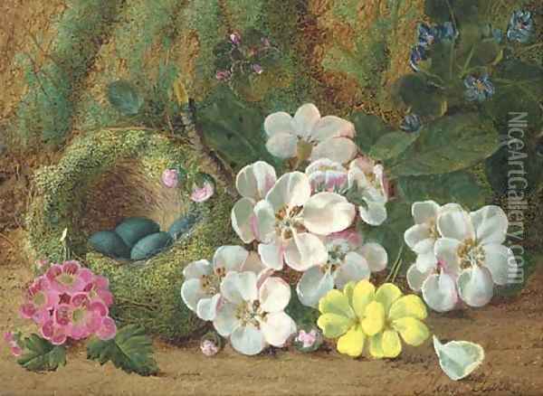 Apple blossom, primroses and a bird's nest with eggs, on a mossy bank Oil Painting - Oliver Clare
