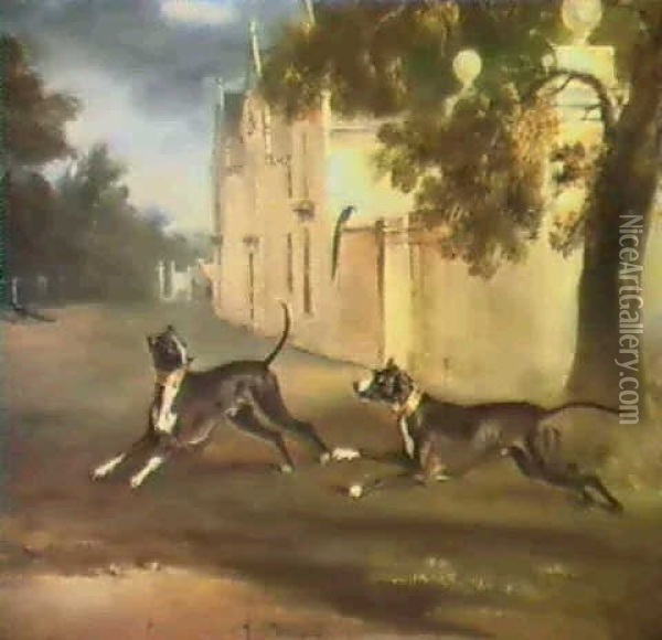 The Earl Of Brownlow's Two Bull Terriers 