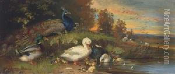 Ducks And A Peackock At A Lakeside Oil Painting - Julius Scheurer