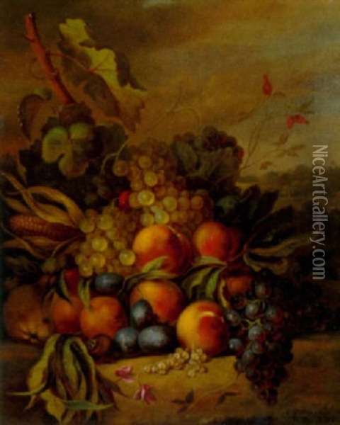 Still Life With Grapes, Peaches And Plums In A Landscape Oil Painting - Cornelis Johannes van Hulsteyn