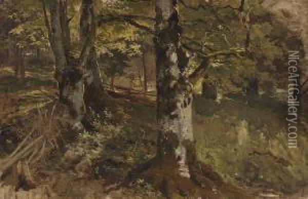 Waldlichtung Oil Painting - Eduard Ii Schleich