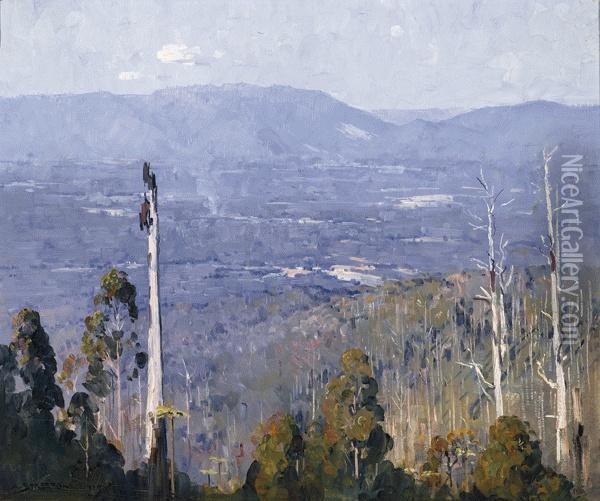 Our Vanishing Forests Oil Painting - Arthur Ernest Streeton