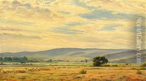 Landscape With Grazing Sheep Oil Painting - Sigvard Marius Hansen