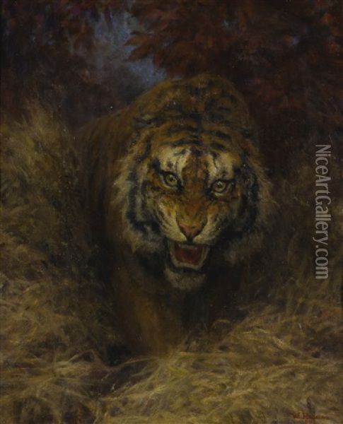 Tiger In The Grass Oil Painting - William Huggins