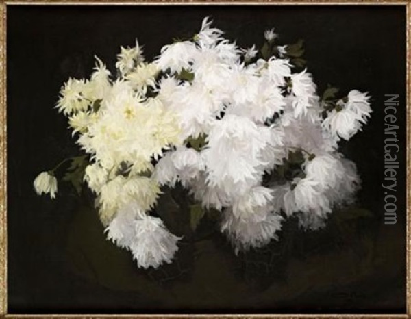 A Still Life Of Chrysanthemum Oil Painting - Stuart James Park