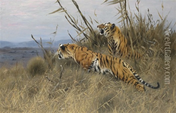 Tigers On The Prowl Oil Painting - Wilhelm Friedrich Kuhnert