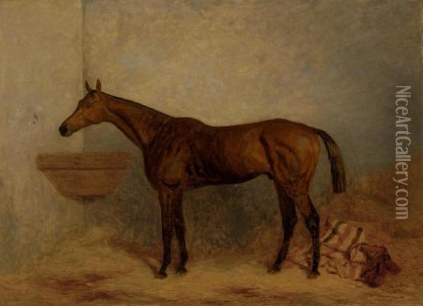 Isonomy, A Bay Colt In A Stall Oil Painting - Harry Hall
