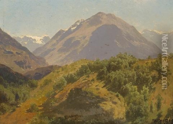 Extensive Majestic Landscape Oil Painting - Hermann Herzog