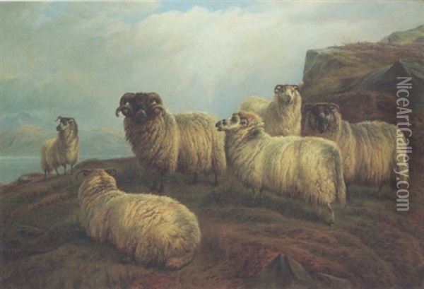 A Highland Flock Oil Painting - Charles Jones