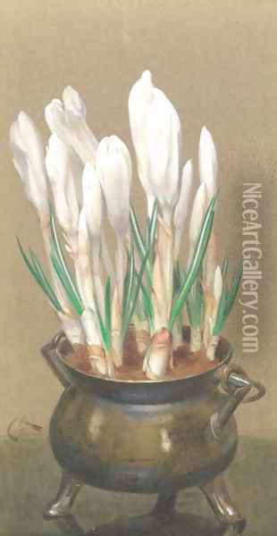 White crocuses in a pewter bowl Oil Painting - Edwin Alexander