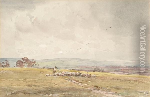 Herding Sheep Oil Painting - Claude Hayes