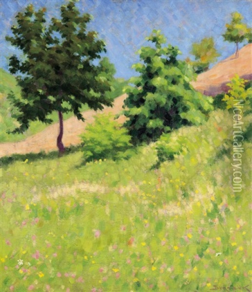 Hillside With Flowers Oil Painting - Samu Boertsoek