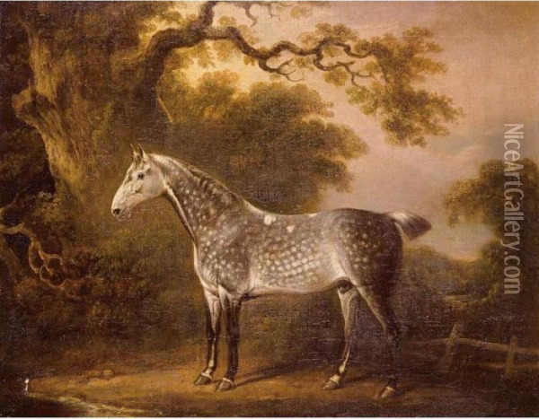 A Dappled Grey Hunter Oil Painting - Charles Towne