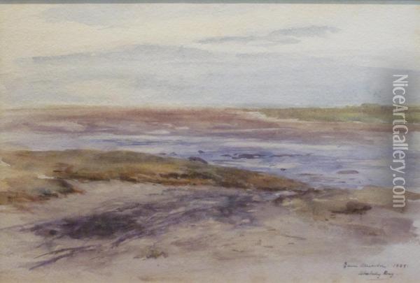 Aberlady Bay Oil Painting - Edwin John Alexander
