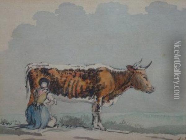 A Milkmaid Milking A Cow Oil Painting - Paulus Potter