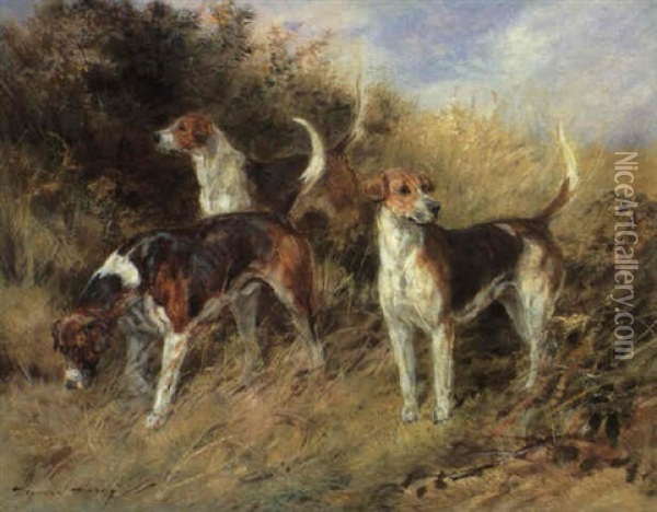 North Shropshire Foxhounds: Nigel, 1904; Dandy, 1906; And Sapphire, 1906 Oil Painting - Heywood Hardy