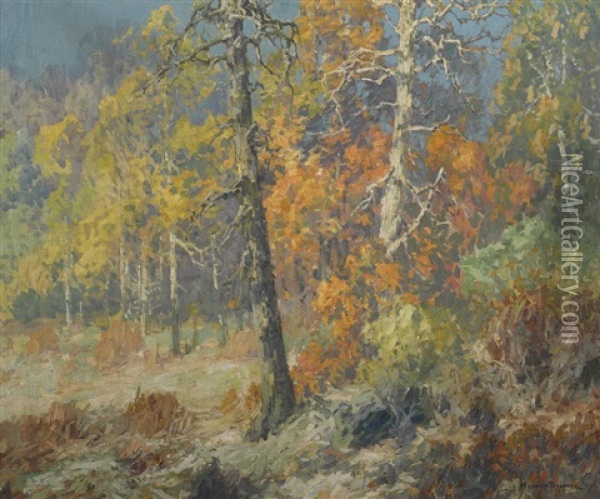 Autumn Woods Oil Painting - Maurice Braun