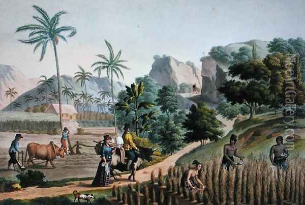 Island of Guam Agricultural Works, from Voyage Autour du Monde sur les Corvettes de LUranie 1817-20 engraved by Pomel, published 1825 Oil Painting - Alphonse Pellion