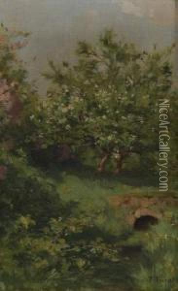 Cerisiers En Fleur Au Bord De Lariviere Oil Painting - Francois Furet