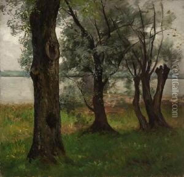 Weidenbaume Am Chiemsee -
 Ufer. Oil Painting - Josef Wopfner