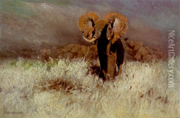 Elefantenherde In Der Steppe Oil Painting - Wilhelm Friedrich Kuhnert