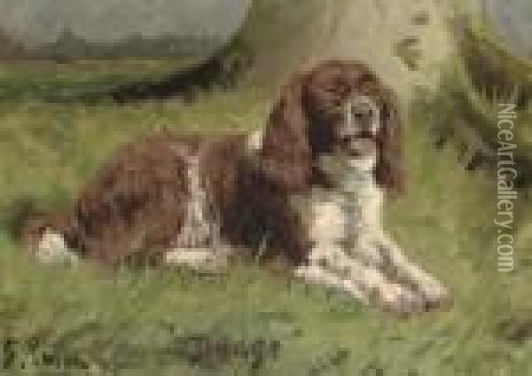 Budge, A Spaniel Oil Painting - George Paice