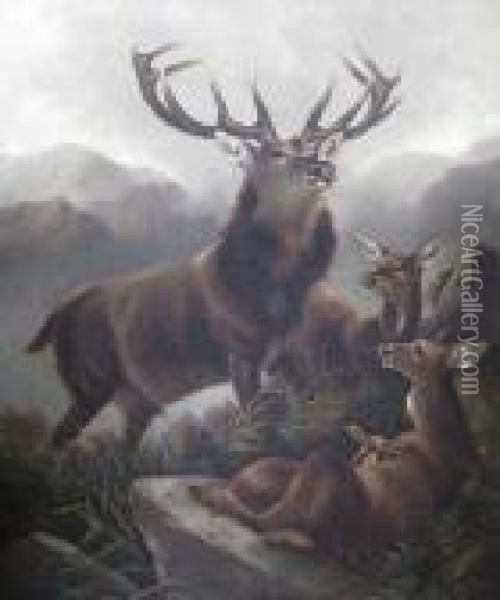 Stag And Hinds In A Mountain Landscape Oil Painting - Robert Cleminson