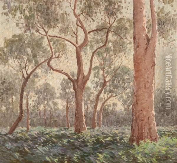 Towering Trees And Shining Light Oil Painting - William Lister-Lister