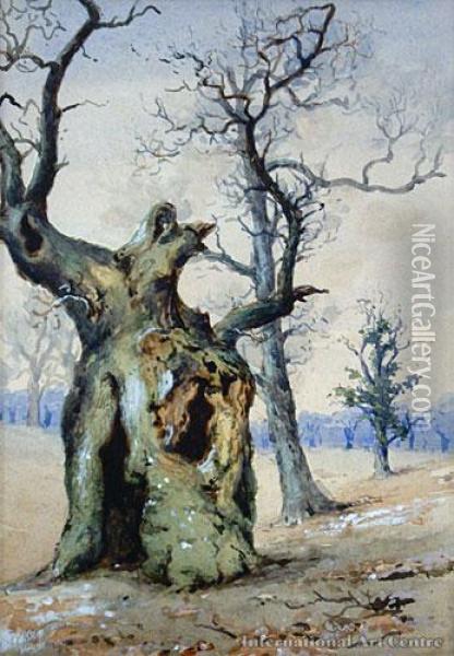 Tree Study Oil Painting - Edward William Payton