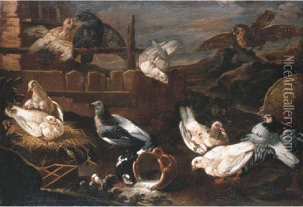 Doves Nesting And A Falcon In A Mountainous Landscape Oil Painting - Niccolo Cassana