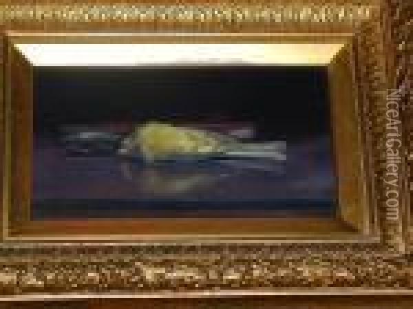 Dead Finch And Books Oil Painting - James Stuart Park