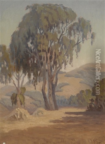 A Eucalyptus Tree With Sunlit Hills Beyond Oil Painting - George Smith Tilden