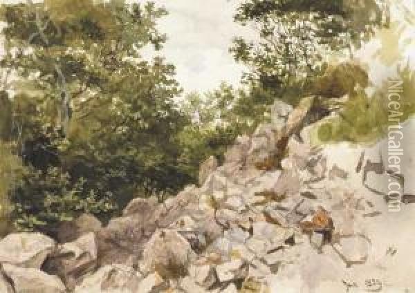 A Rocky Bank And Trees Beyond Oil Painting - Frederick William Burton