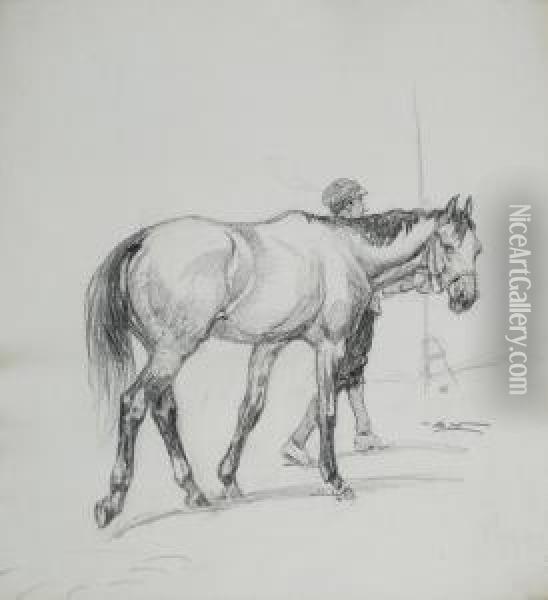 Cavallo Con Scudiero Oil Painting - Alfredo Vaccari