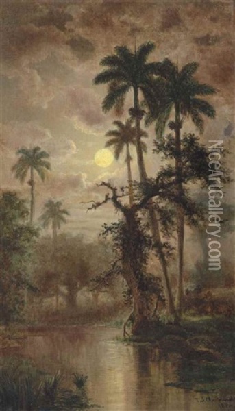 La Noche. Vista Del Arrario Juotea Cerca De Sabanilla Oil Painting - Esteban Chartrand