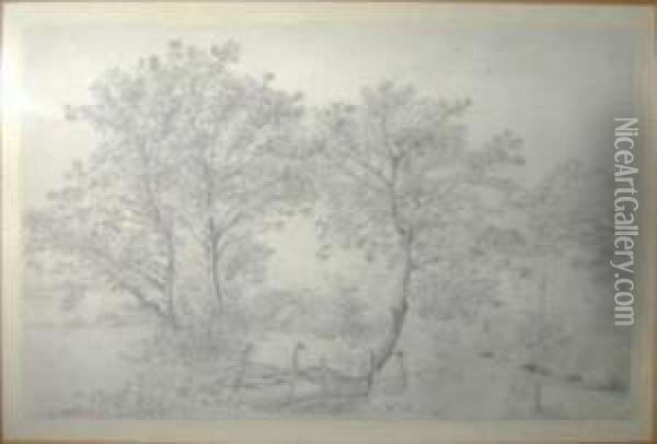 Study Of Trees And Cottage Beyond Oil Painting - Henry Wyatt