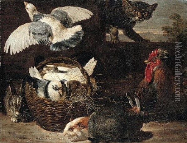 A Still Life Of Pigeons, Rabbits, A Cat, A Chicken And A Guinea Pig In A Farmyard Setting Oil Painting - David de Coninck