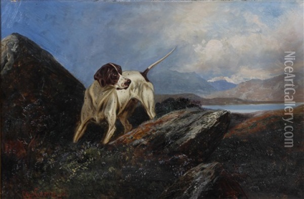 English Pointer In A Lake Landscape And Setter (pair) Oil Painting - Colin Graeme
