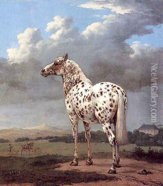 The Piebald Horse 1650-54 Oil Painting - Paulus Potter