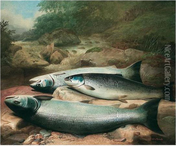 Salmon On The River Bank Oil Painting - John Russell